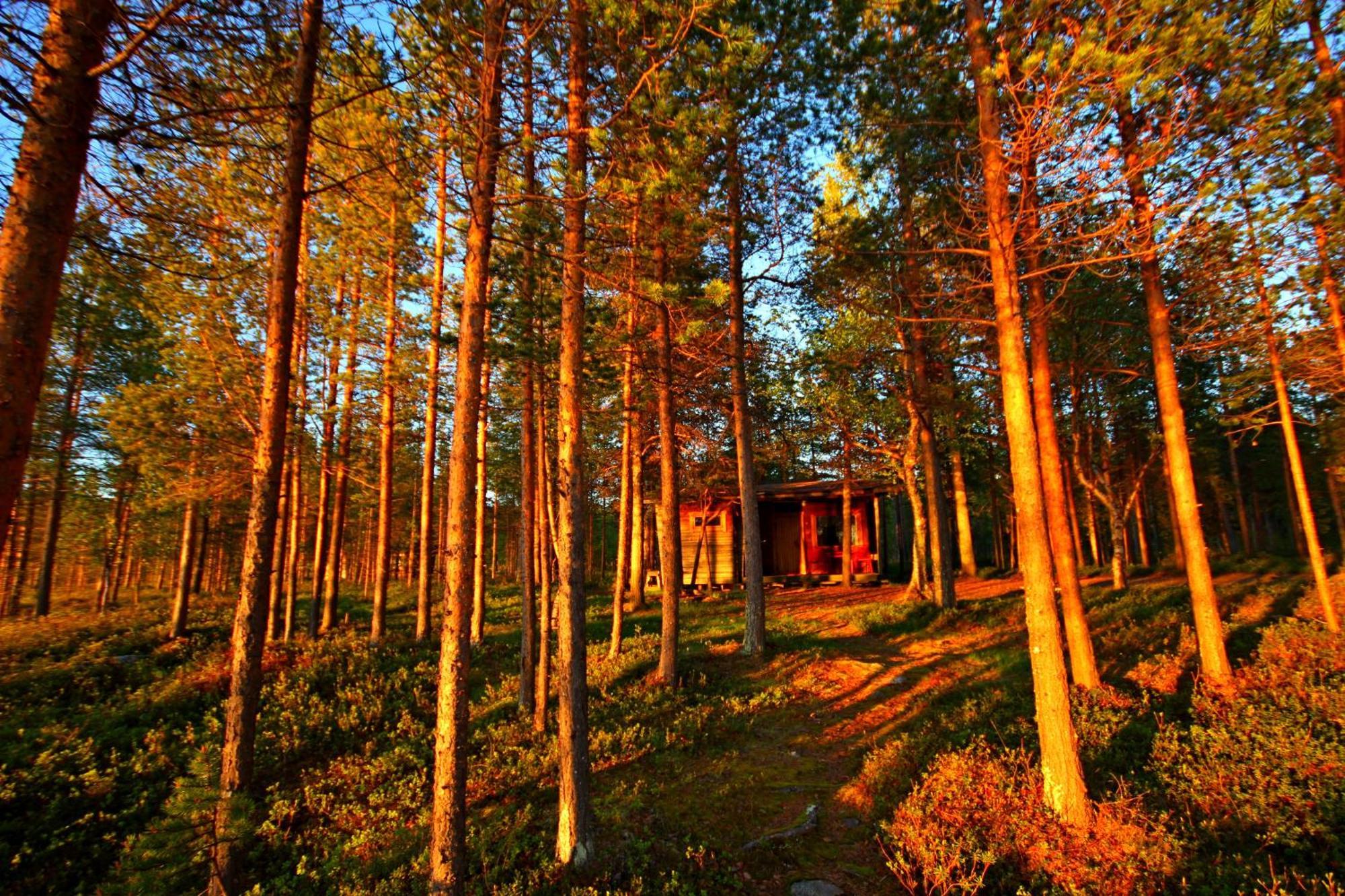 Ukonjaerven Holiday Village Ivalo Phòng bức ảnh